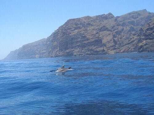 El Paraiso En Los Gigantes Santiago del Teide Esterno foto
