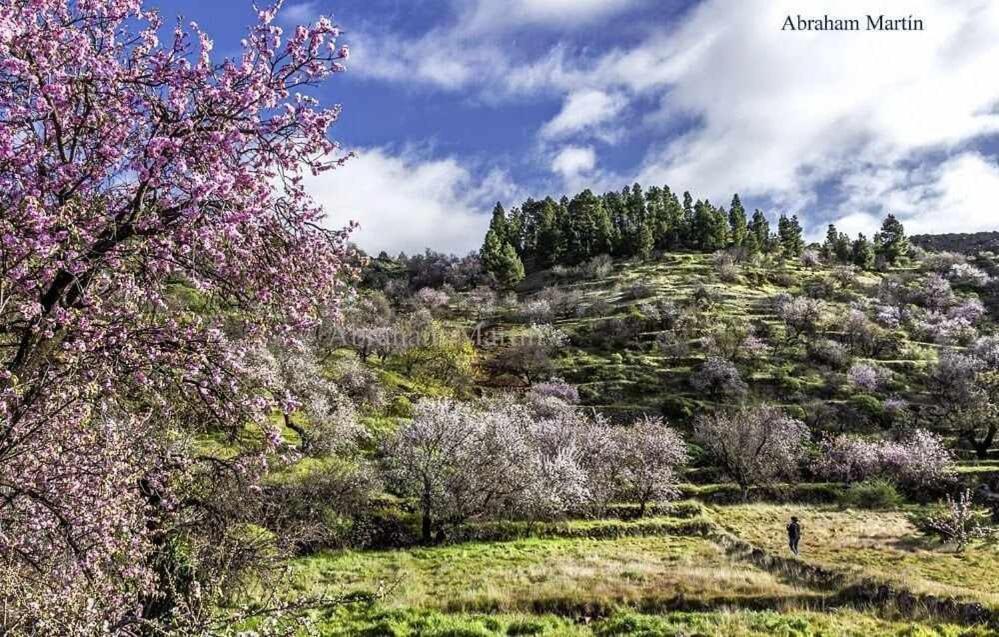 El Paraiso En Los Gigantes Santiago del Teide Esterno foto